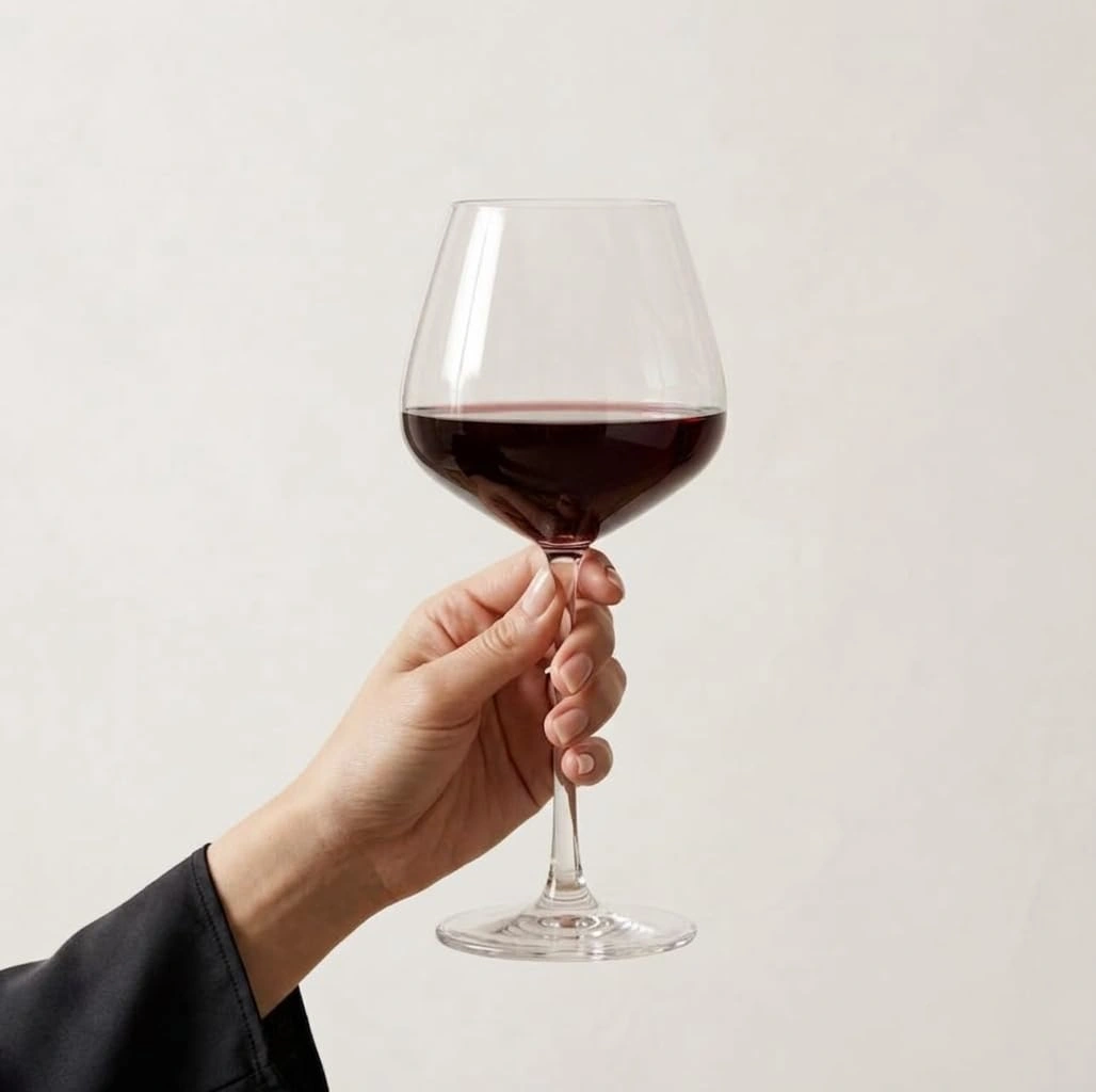 nestcase 455 ml Red Wine Glass Set of 6  - image 2